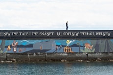 Land and sea mural builds unity in Victoria