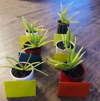 Plants and cards prepared by Mrs. Gaber to share with her new neighbours for Ayyam-i-Ha.