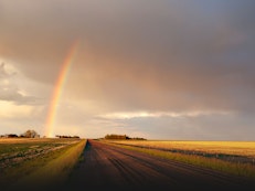 Envisioning a 2050 Food System for Treaty Four Territory