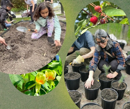 Earth Day 2025: Grassroots initiatives further collective understanding of environmental stewardship