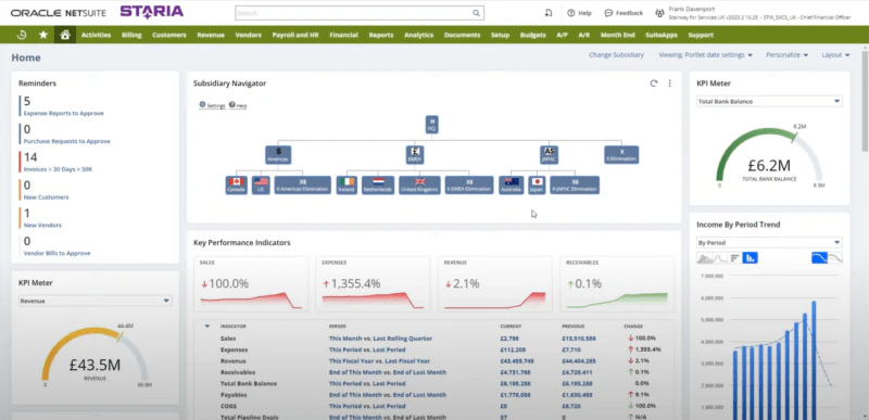 Example of a NetSuite home dashboard.