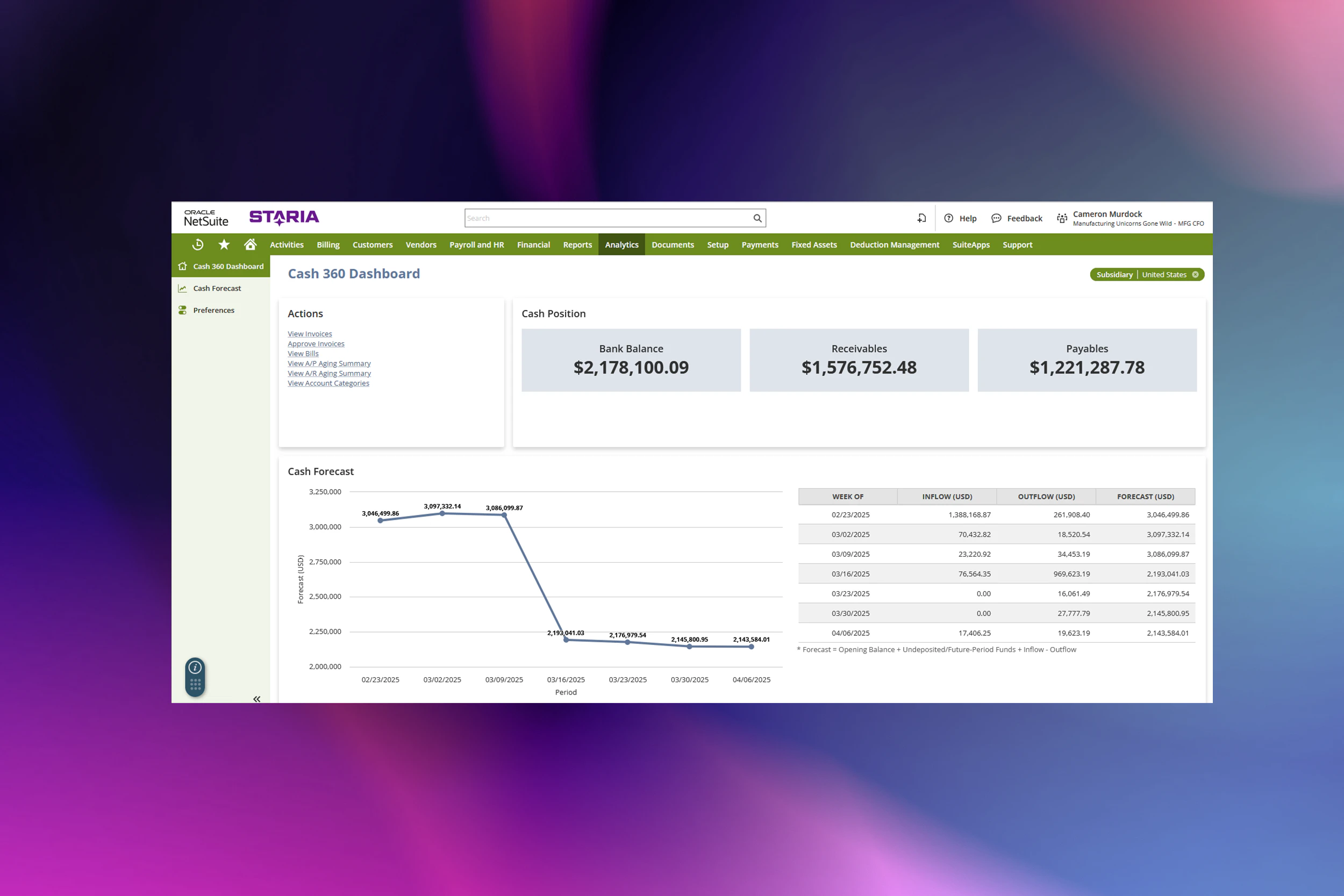 NetSuite screenshot 6