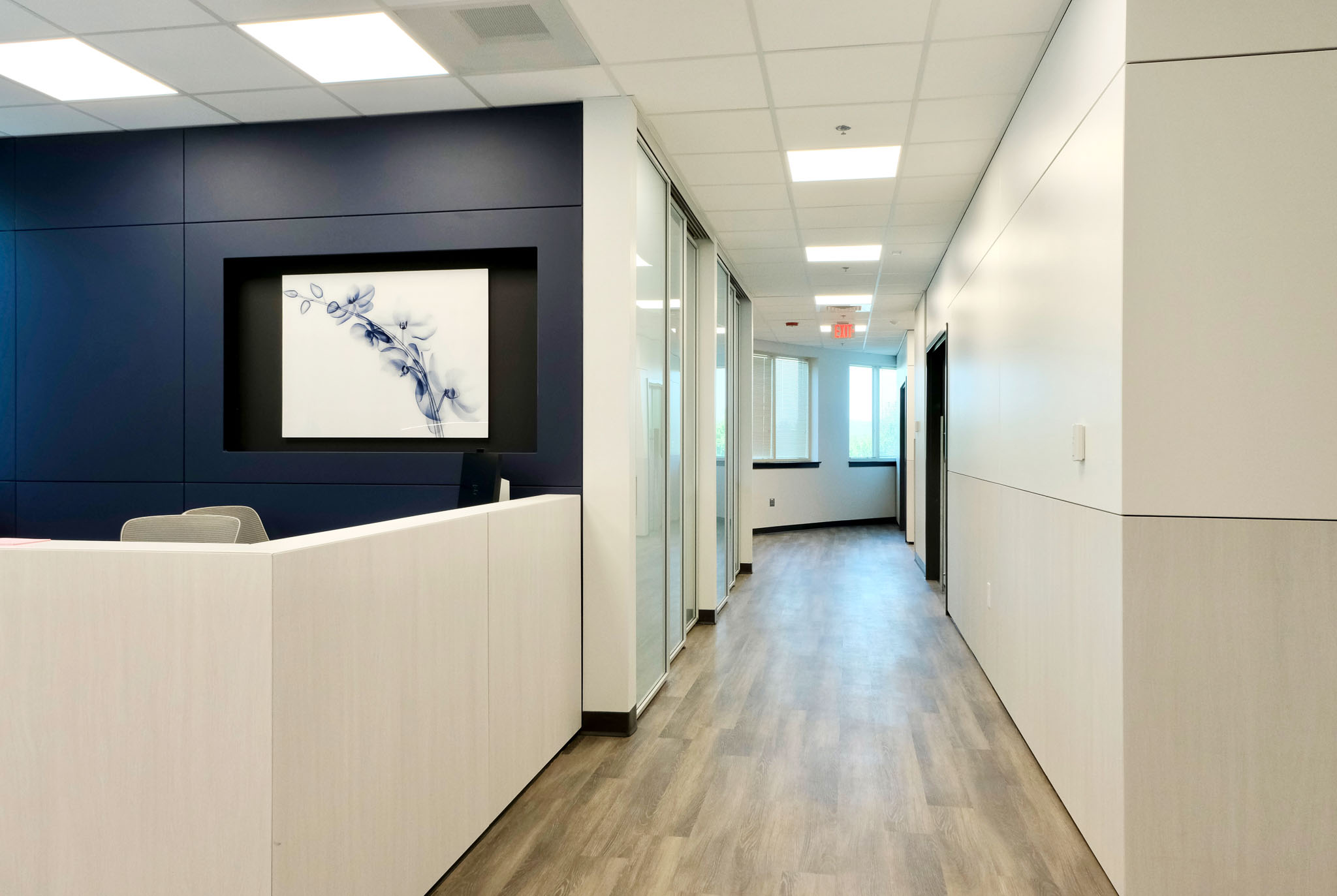 Interior view showcasing Falkbuilt's solid wall construction in a healthcare setting