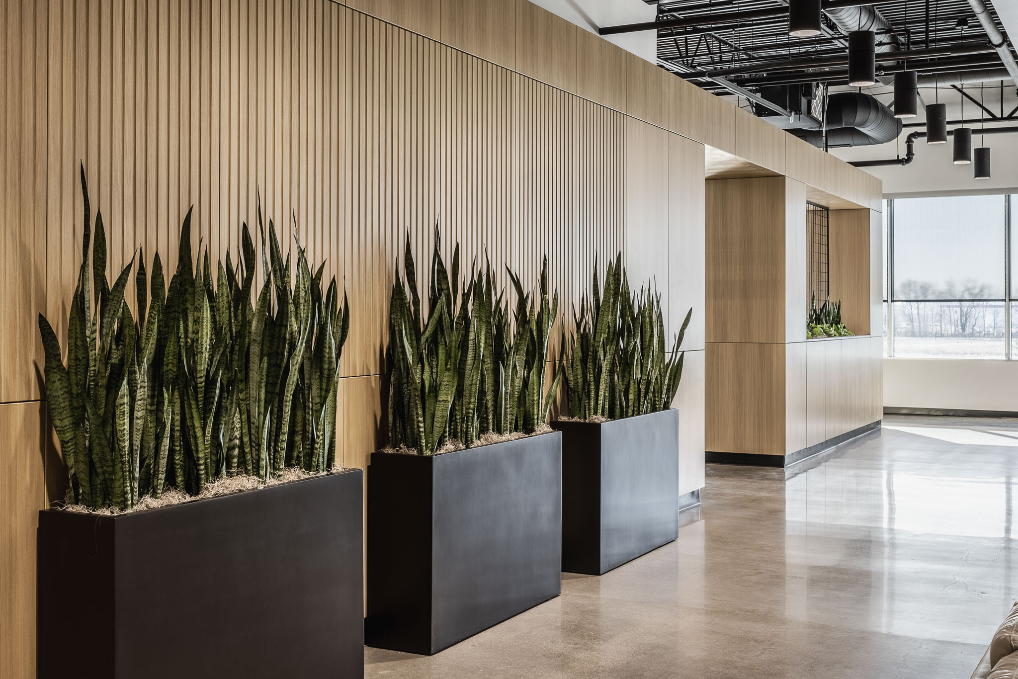 Interior view showcasing Falkbuilt's solid wall construction in a corporate setting with prefabricated grooved solid cladding