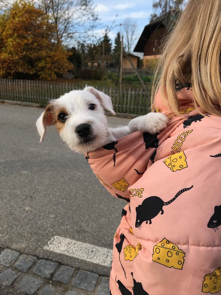 Hella the Dog Hood Jacket