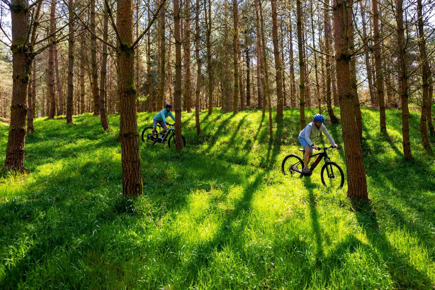 Mountain bike riders in the forest