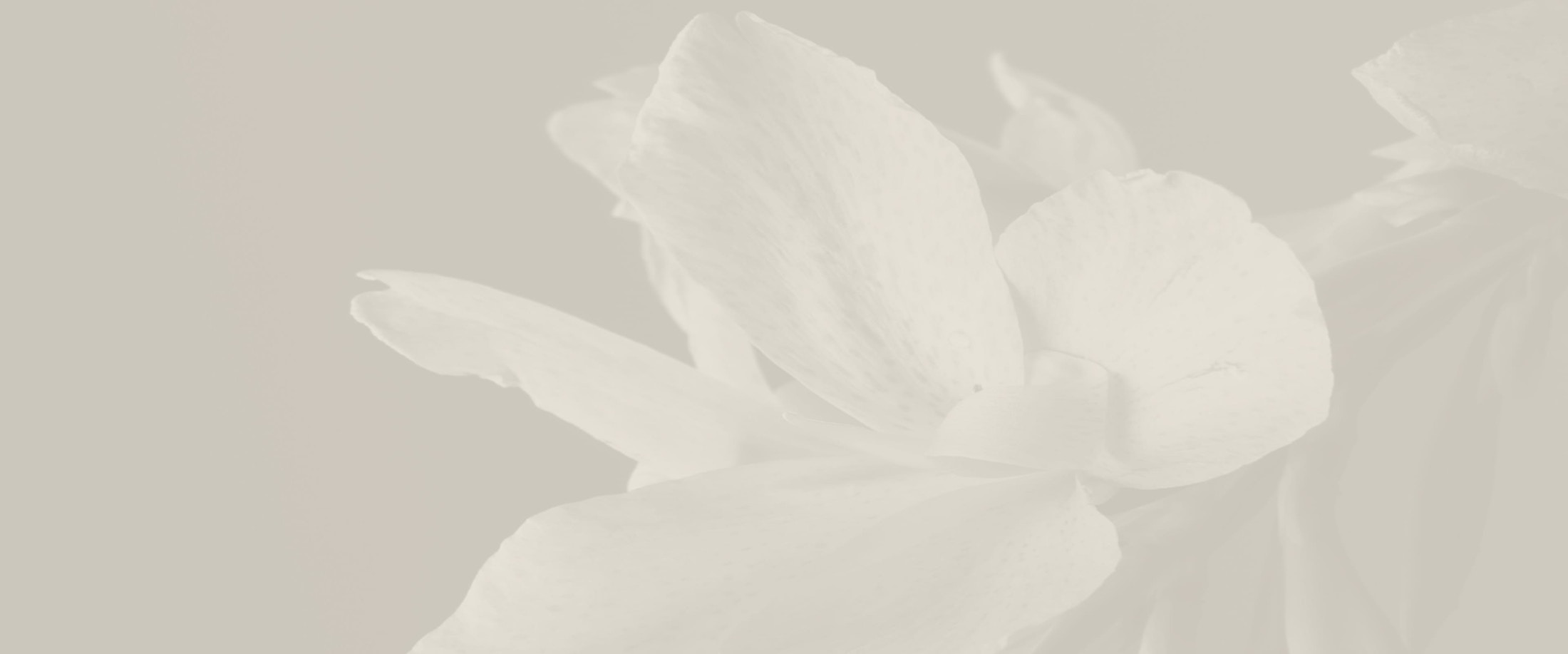 Banner media
