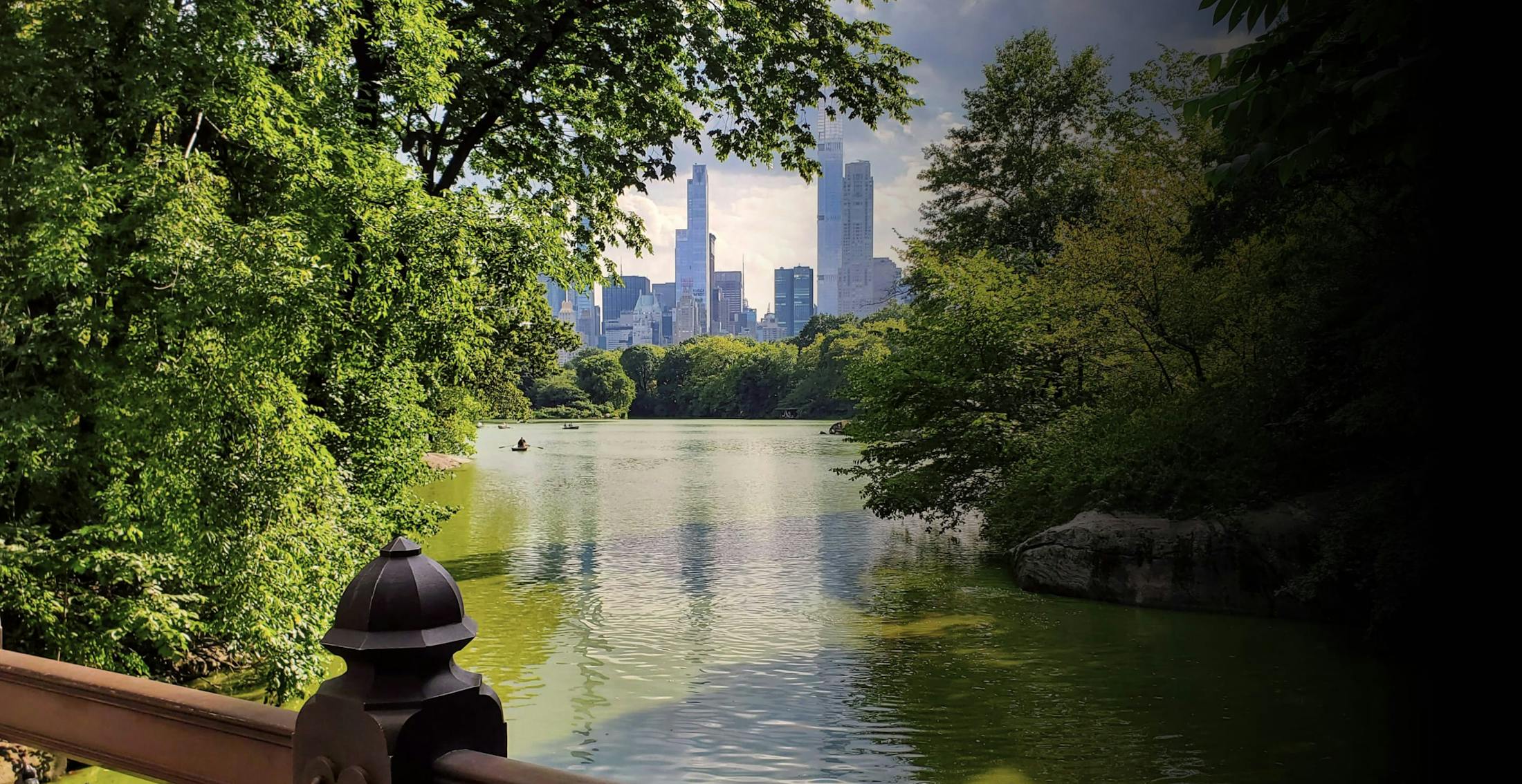 New York City skyline as seen through Central Park
