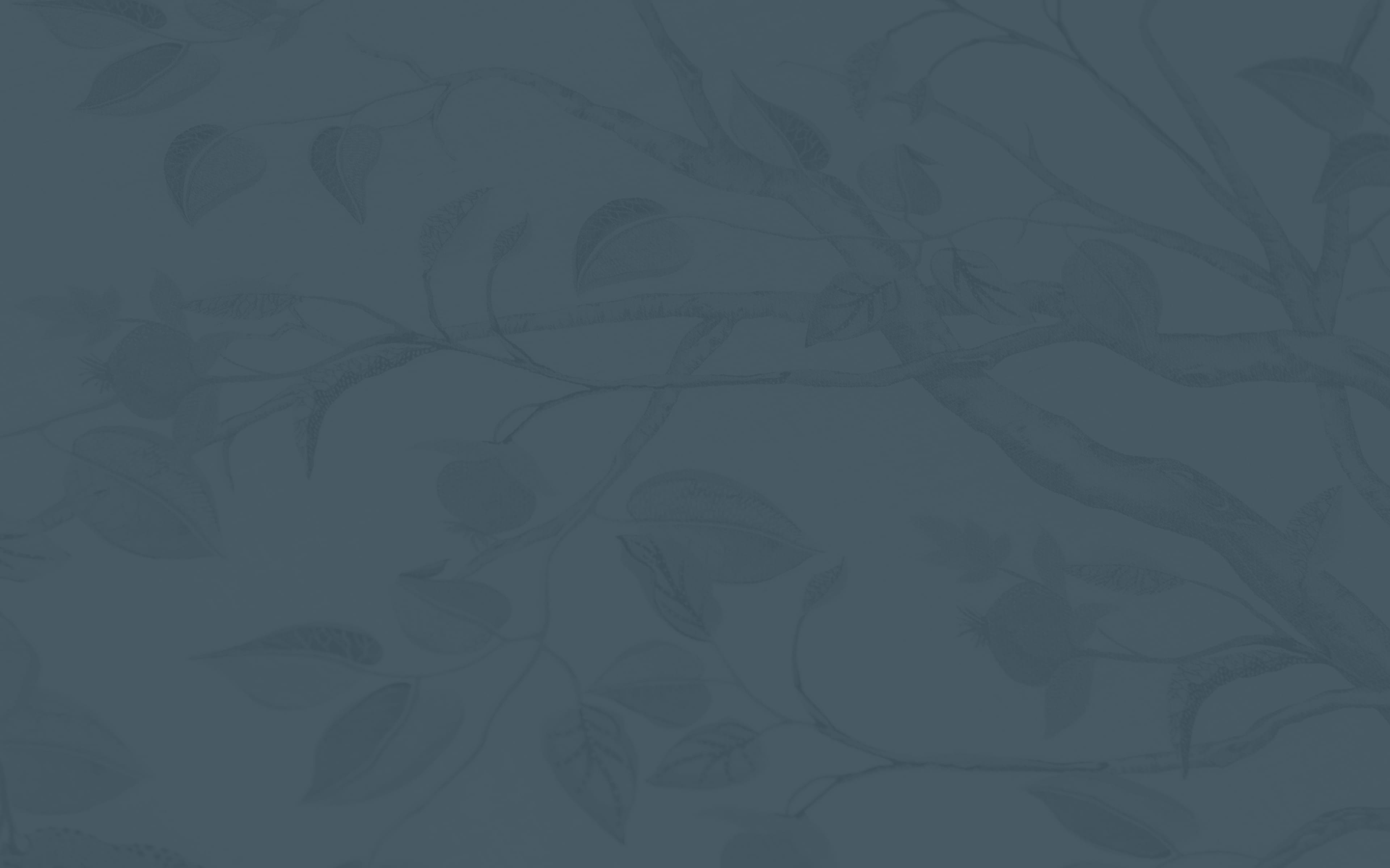 Ultimate Contour in San Francisco, CA | Hayes Valley Medical Esthetics