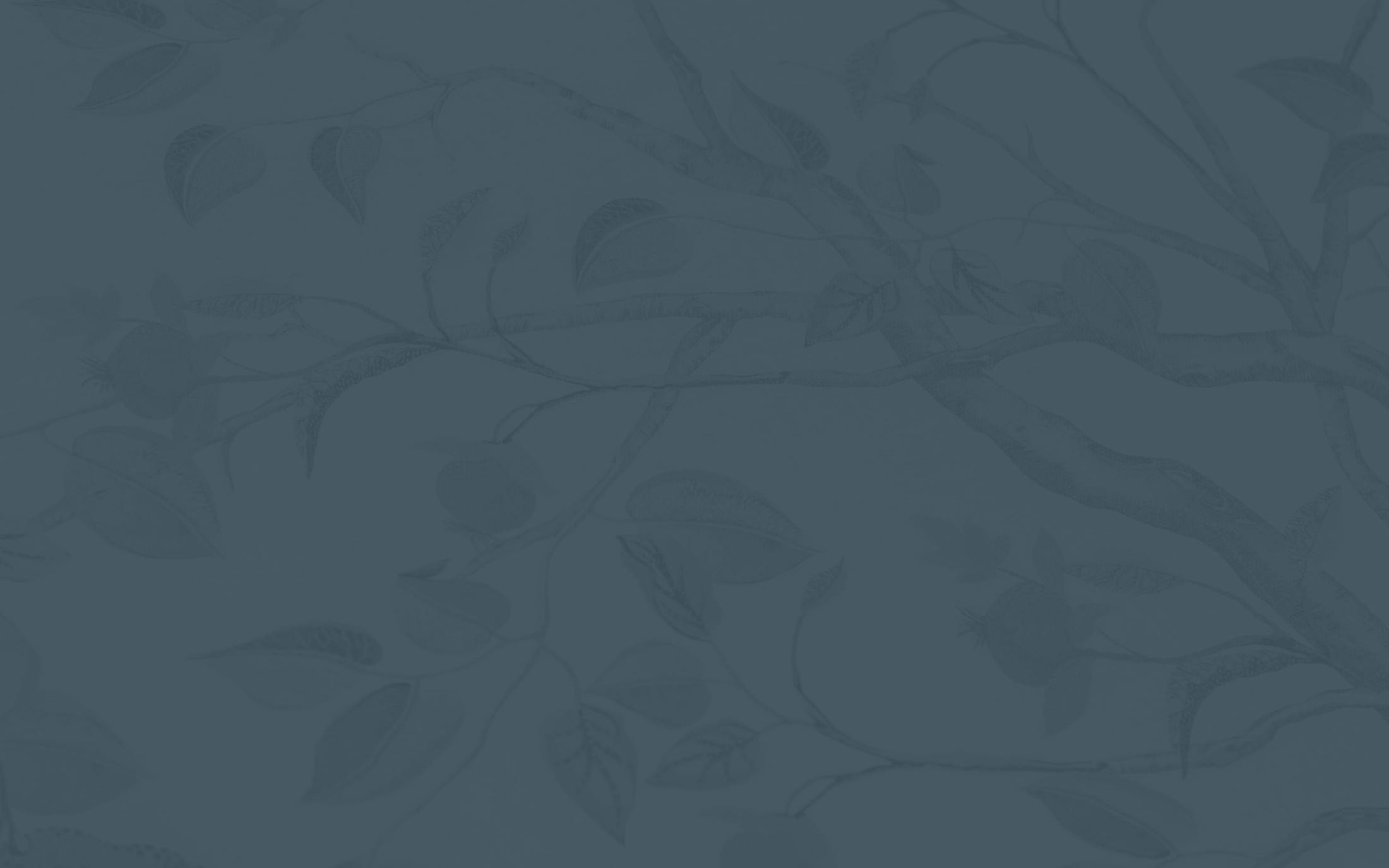 Background media