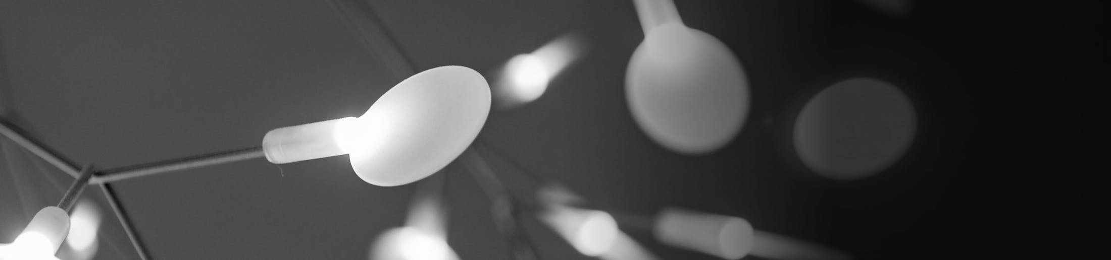 lights