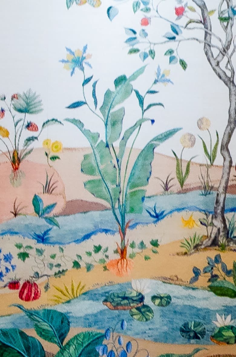 rivers and colorful plants in a unique art style