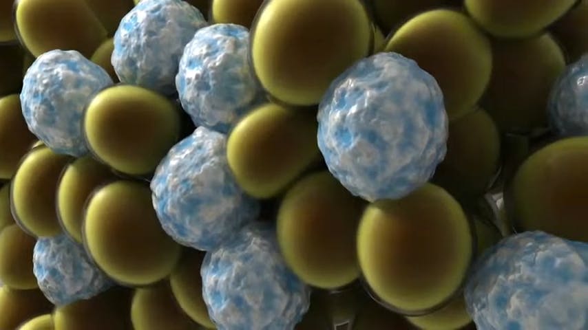 cells
