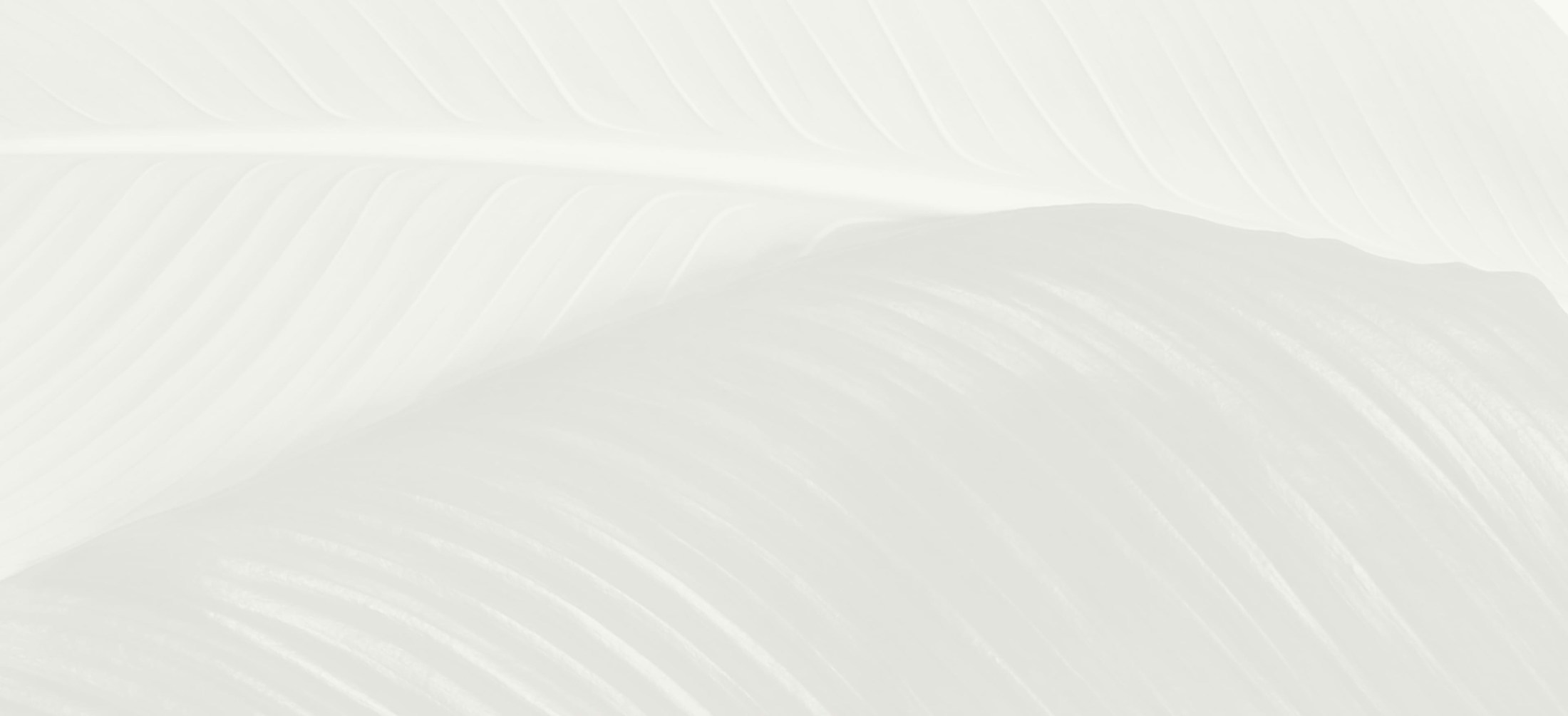 Banner media