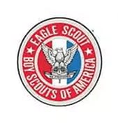 Eagle Scout Medal 1
