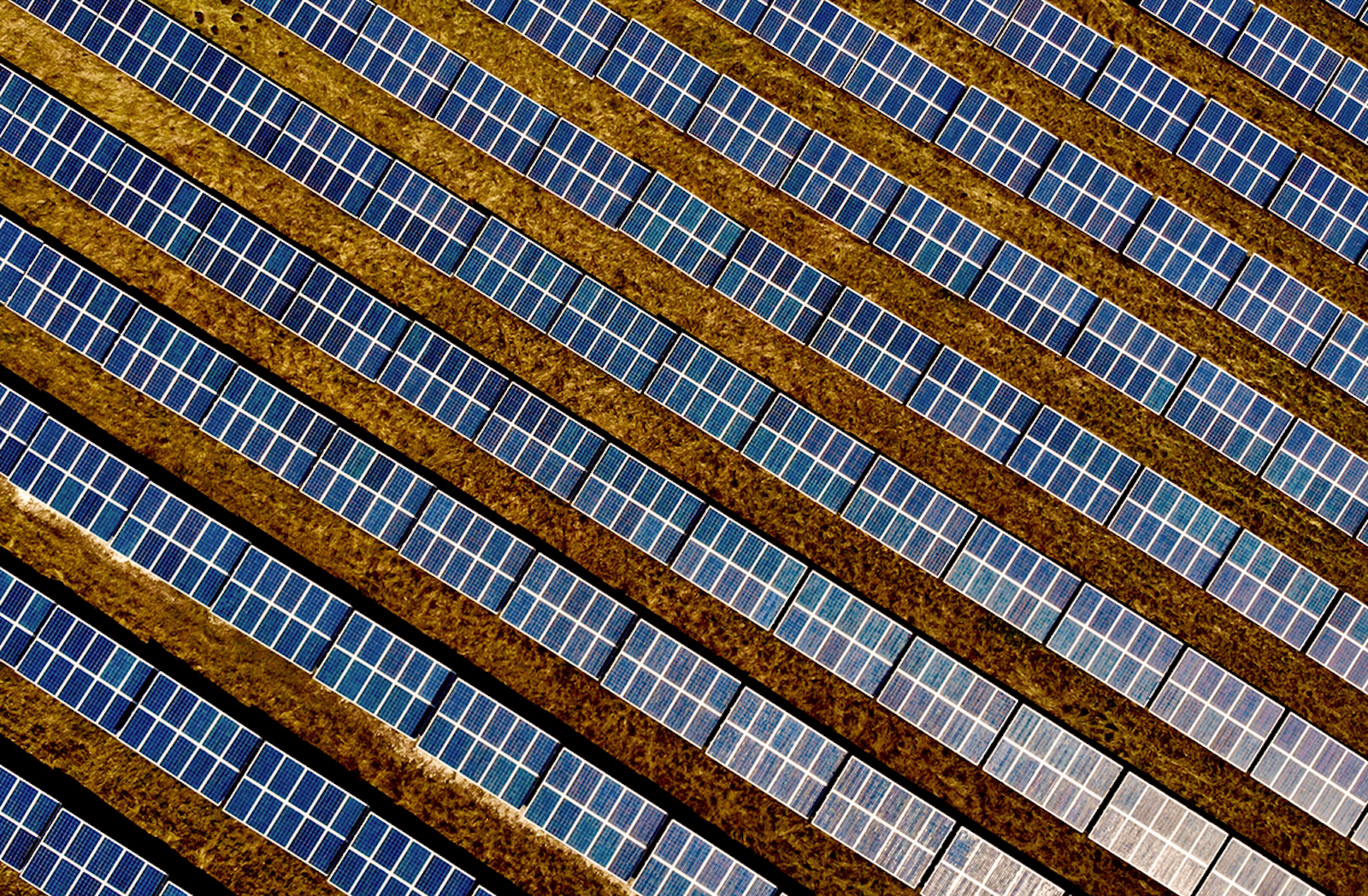 Solar Farm