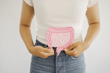 A lady holding up a cartoon sketch of the gut in front of their gut