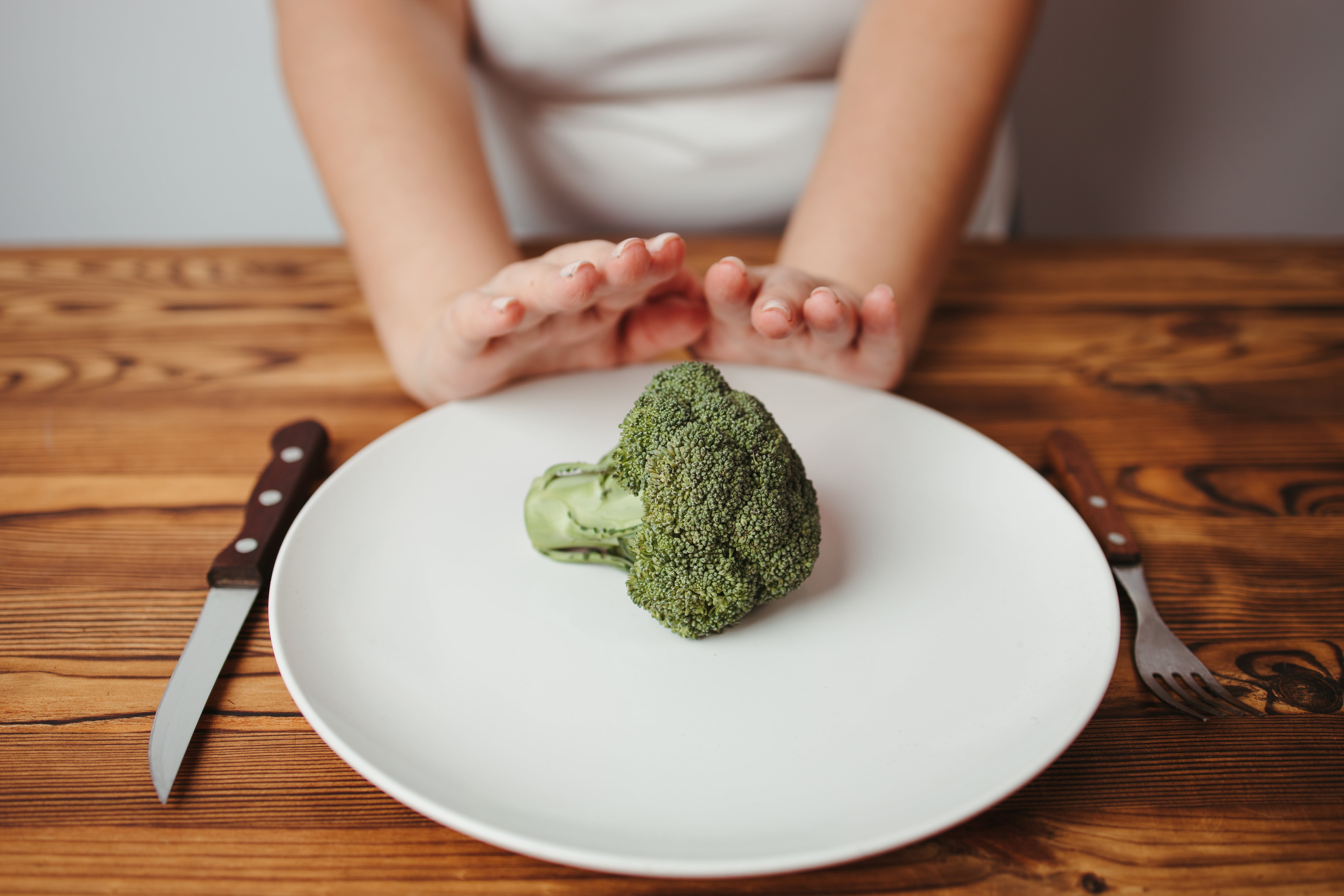 A dinner plate with a single broccoli on it
