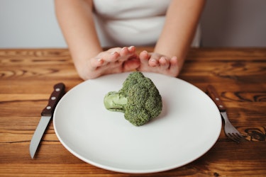 A dinner plate with a single broccoli on it