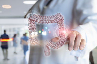 An illustration of a gut being analysed by a doctor