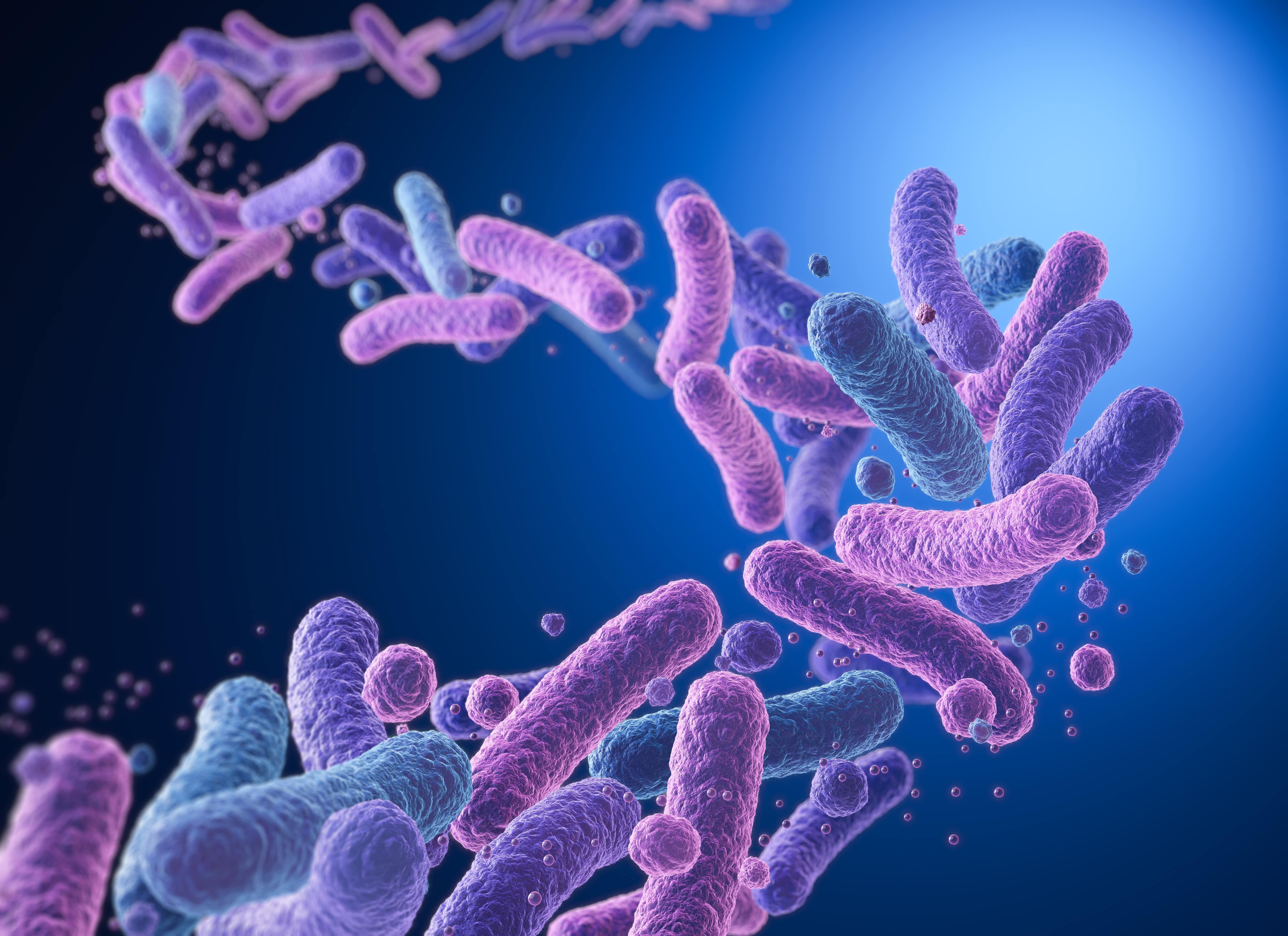 How Do I Get Rid of Bad Bacteria in the Gut?