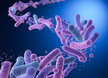How Do I Get Rid of Bad Bacteria in the Gut?