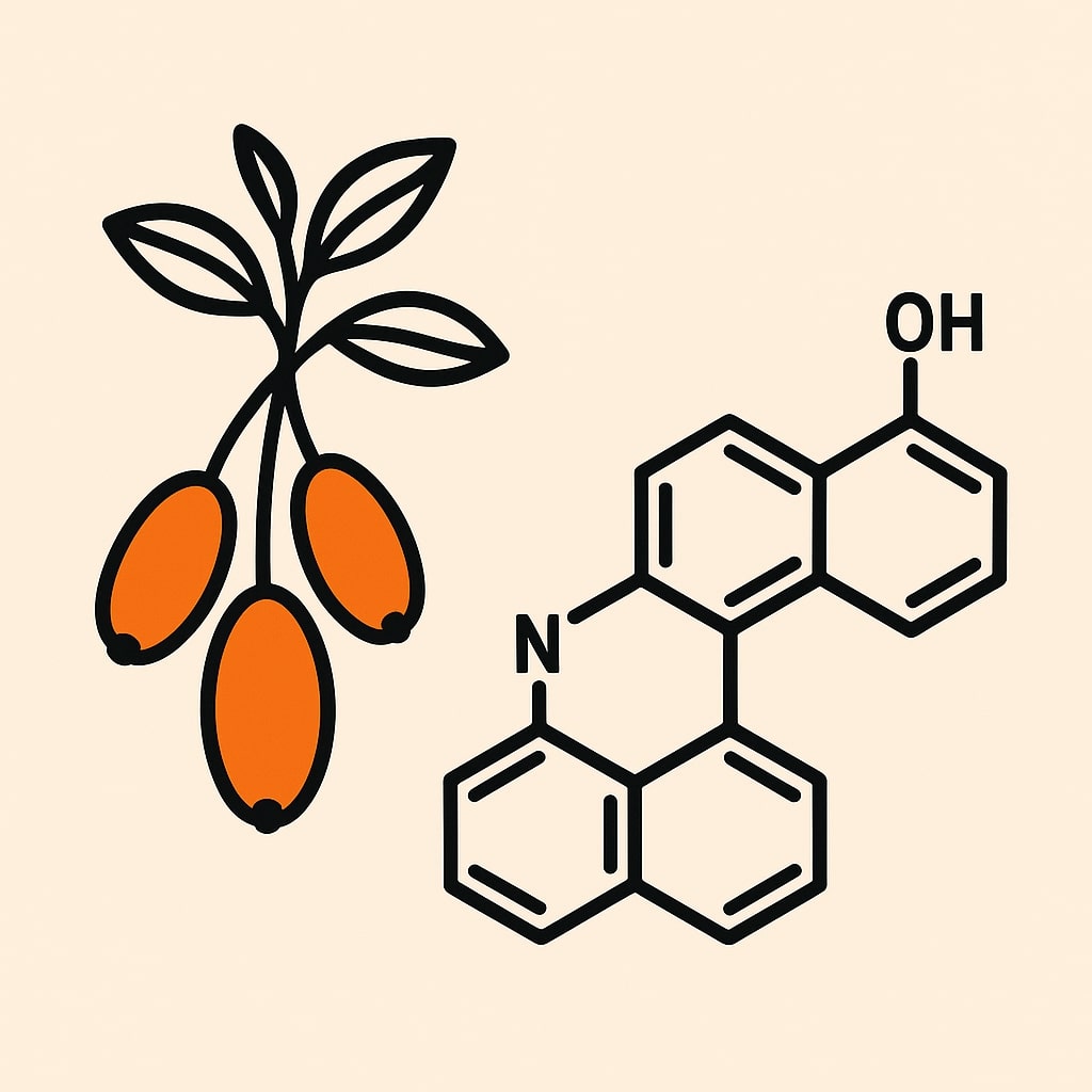 Berberine - Vivere Glossary
