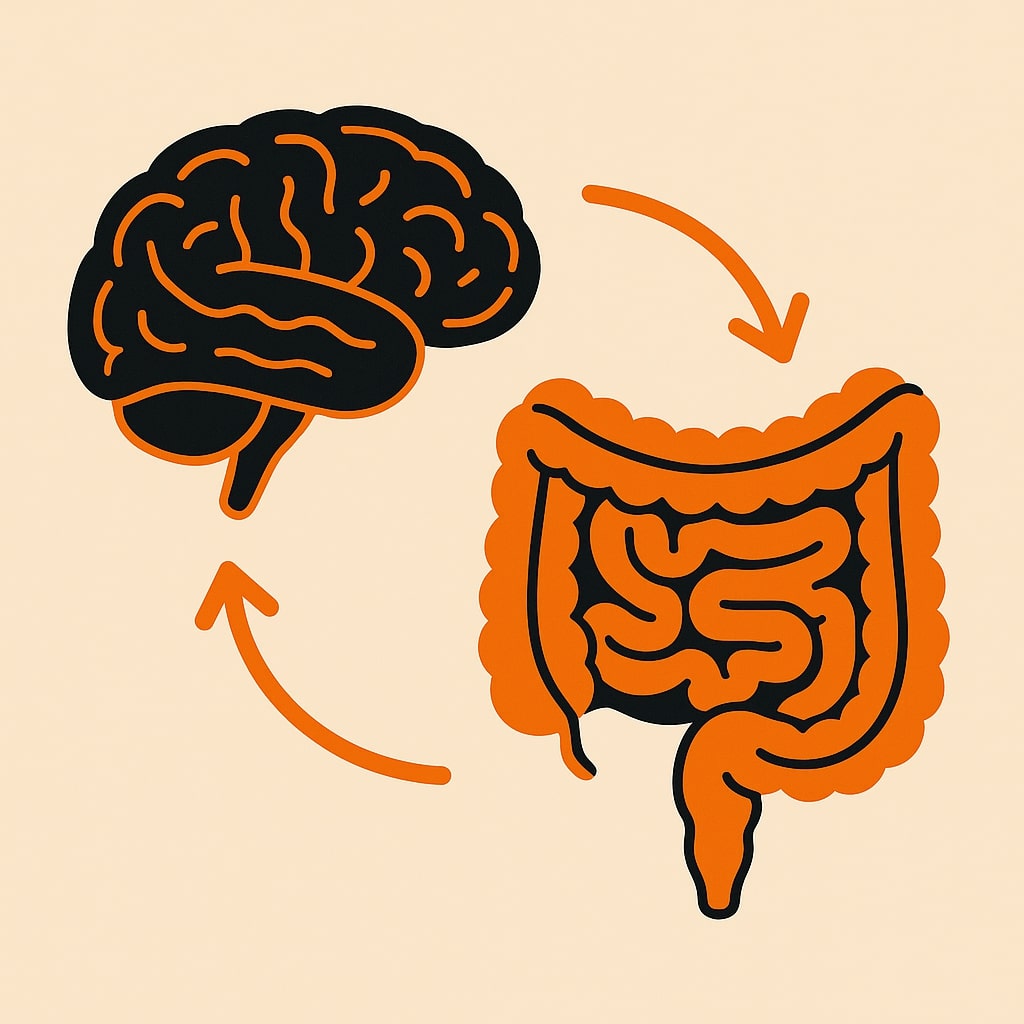 gut brain axis