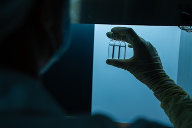 Scientist examining test tubes under laboratory light, illustrating research into the link between NAD levels and cancer risks.