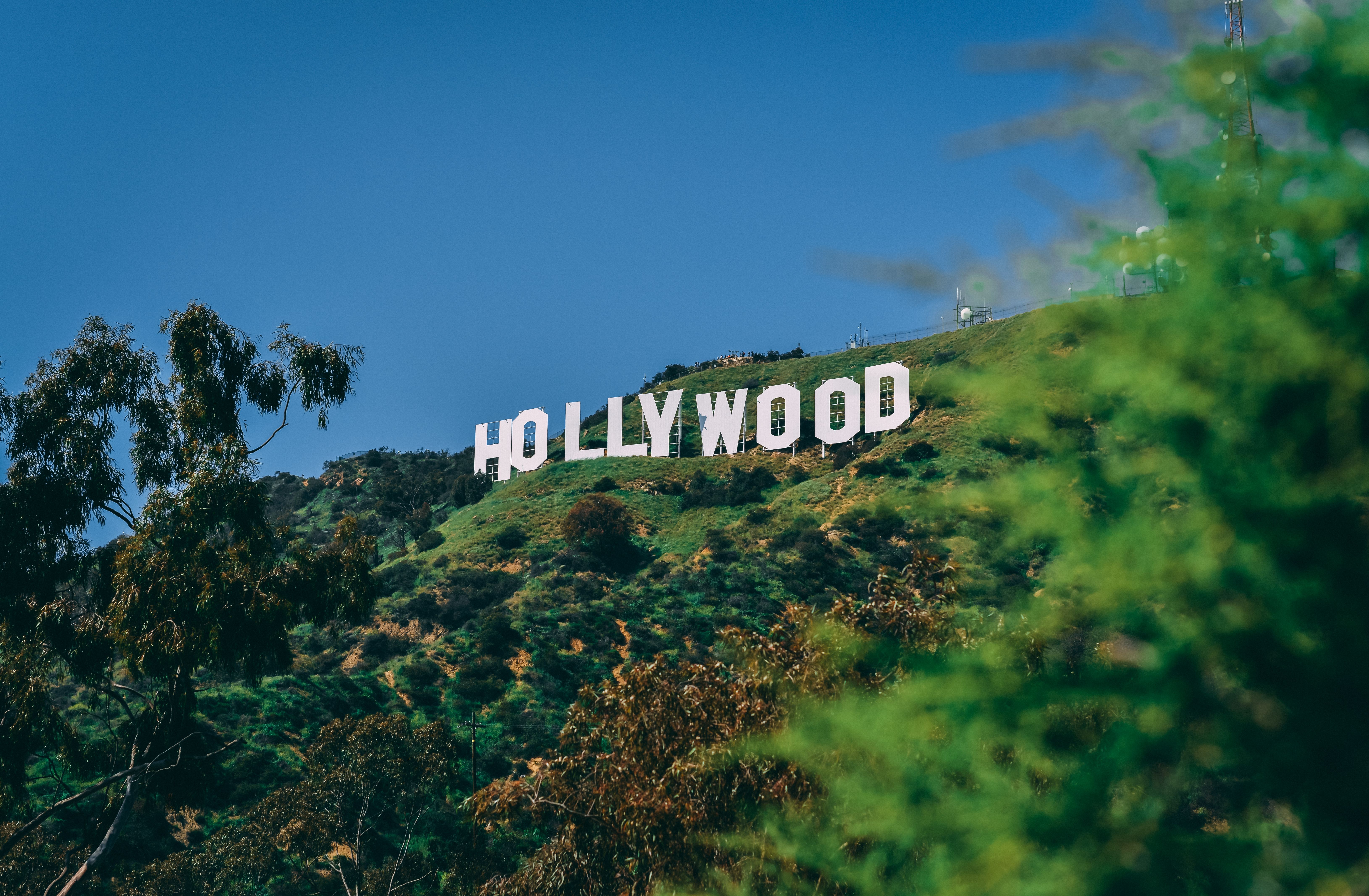 The Hollywood sign on a hillside above green trees under a clear blue sky