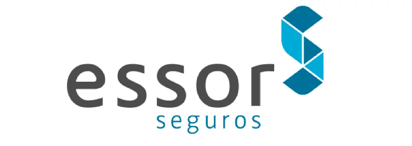 Essor logo