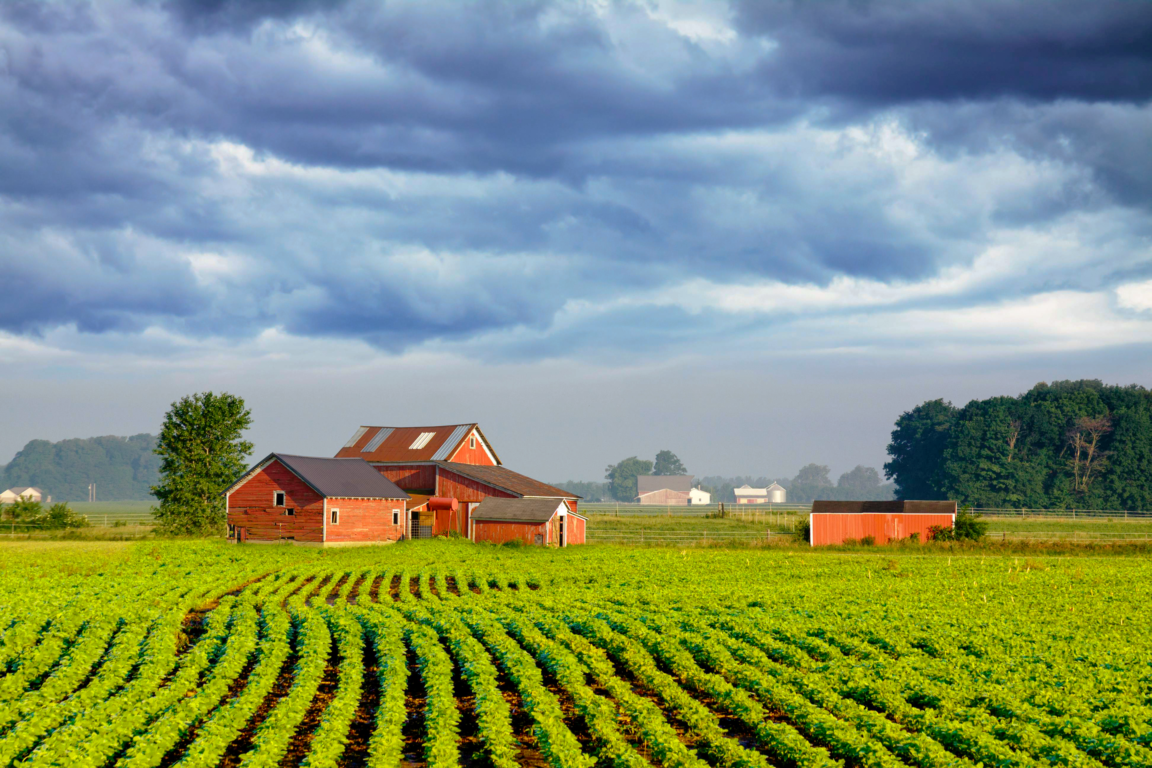 Seguro Agrícola
