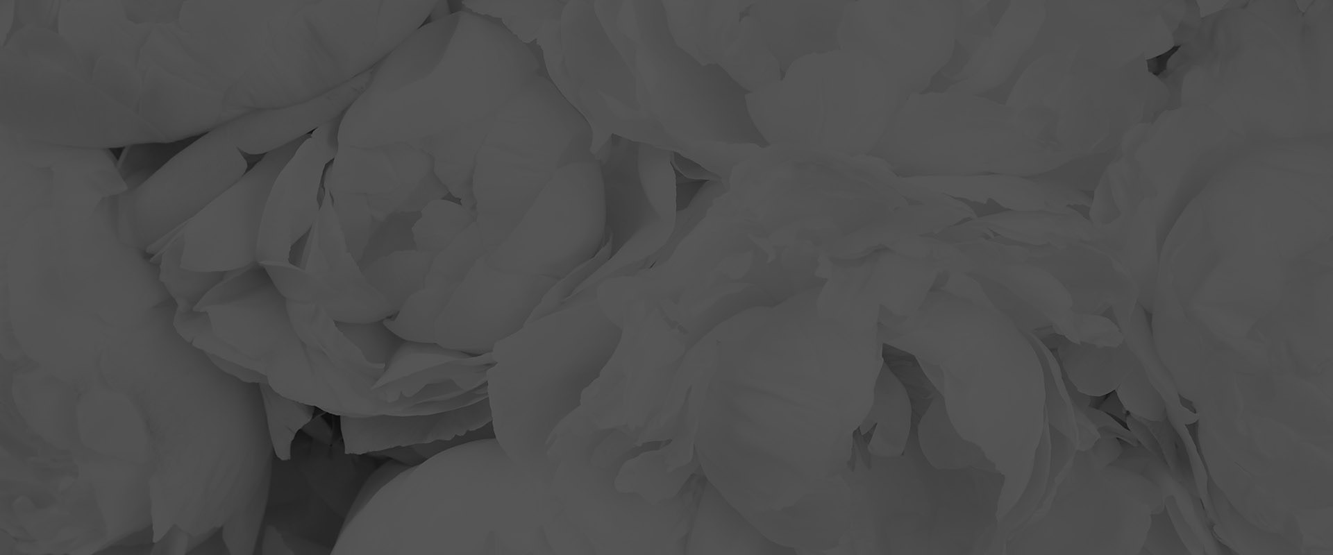 Banner media