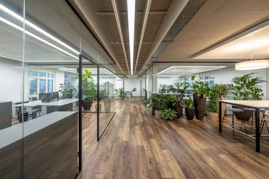 Modernes Büro mit Glaswänden, Holzböden, Schreibtischen, Stühlen und vielen Topfpflanzen, die im offenen Arbeitsbereich verstreut sind.