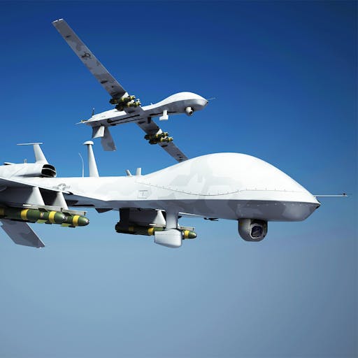 bird, flying, aircraft, airplane, transportation, vehicle