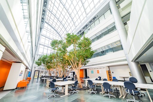 indoors, furniture, architecture, building, lounge, cafeteria