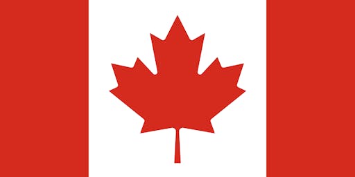 leaf, plant, maple leaf, first aid