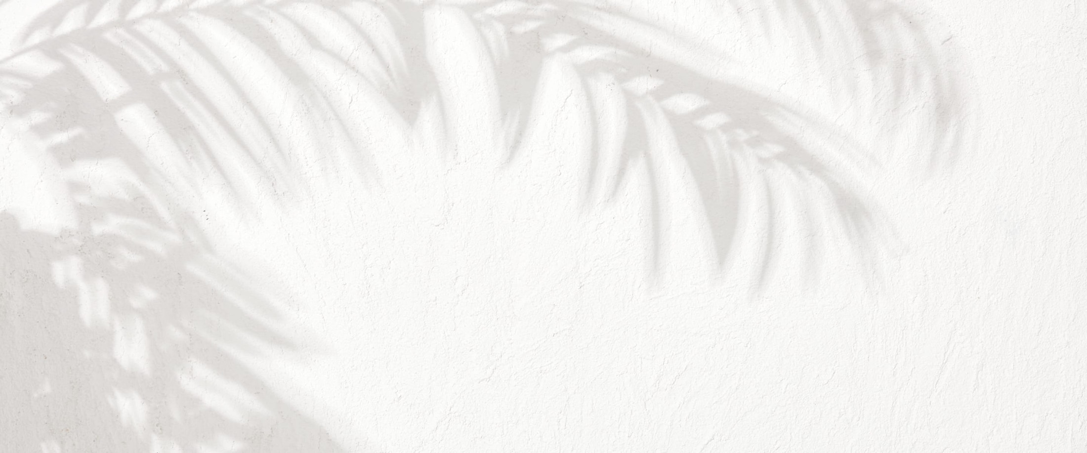 Banner media