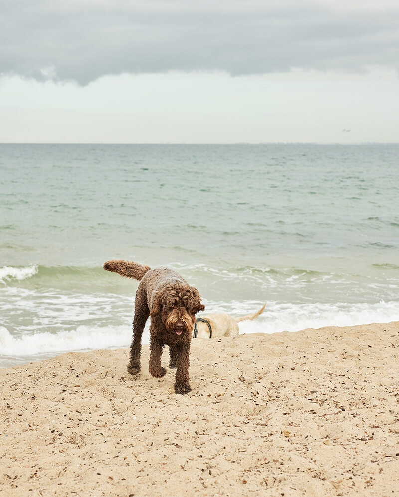 Image of beach
