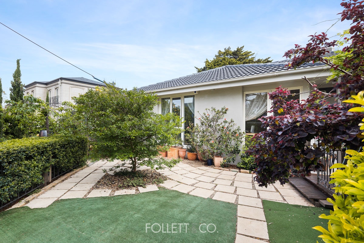 Image of backyard