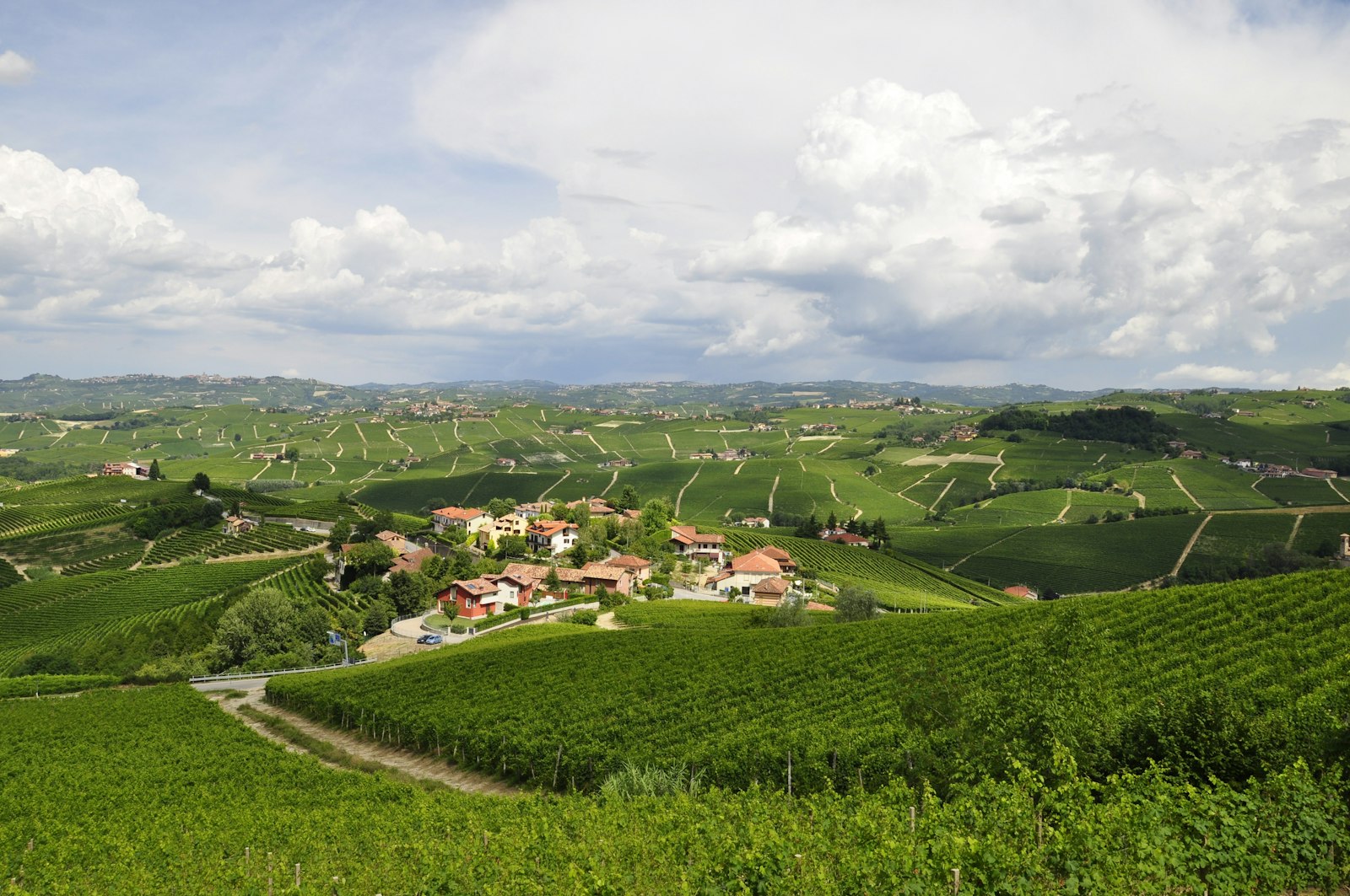 Panoramablick auf die Langhe Hügel mit Nebbiolo Weinbergen UNESCO Welterbe