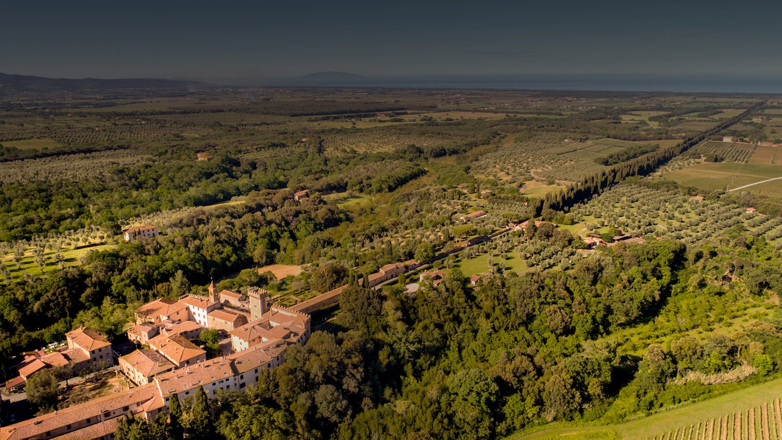 Vigneti toscani dedicati alla produzione di vini Supertuscan tra Bolgheri e Maremma
