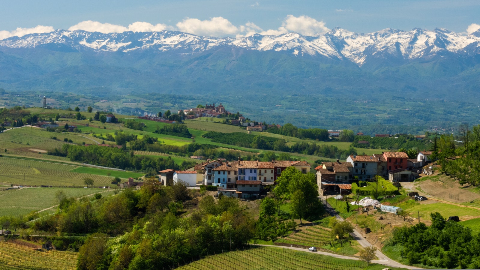 Paesaggio vitivinicolo piemontese con vigneti e Alpi sullo sfondo