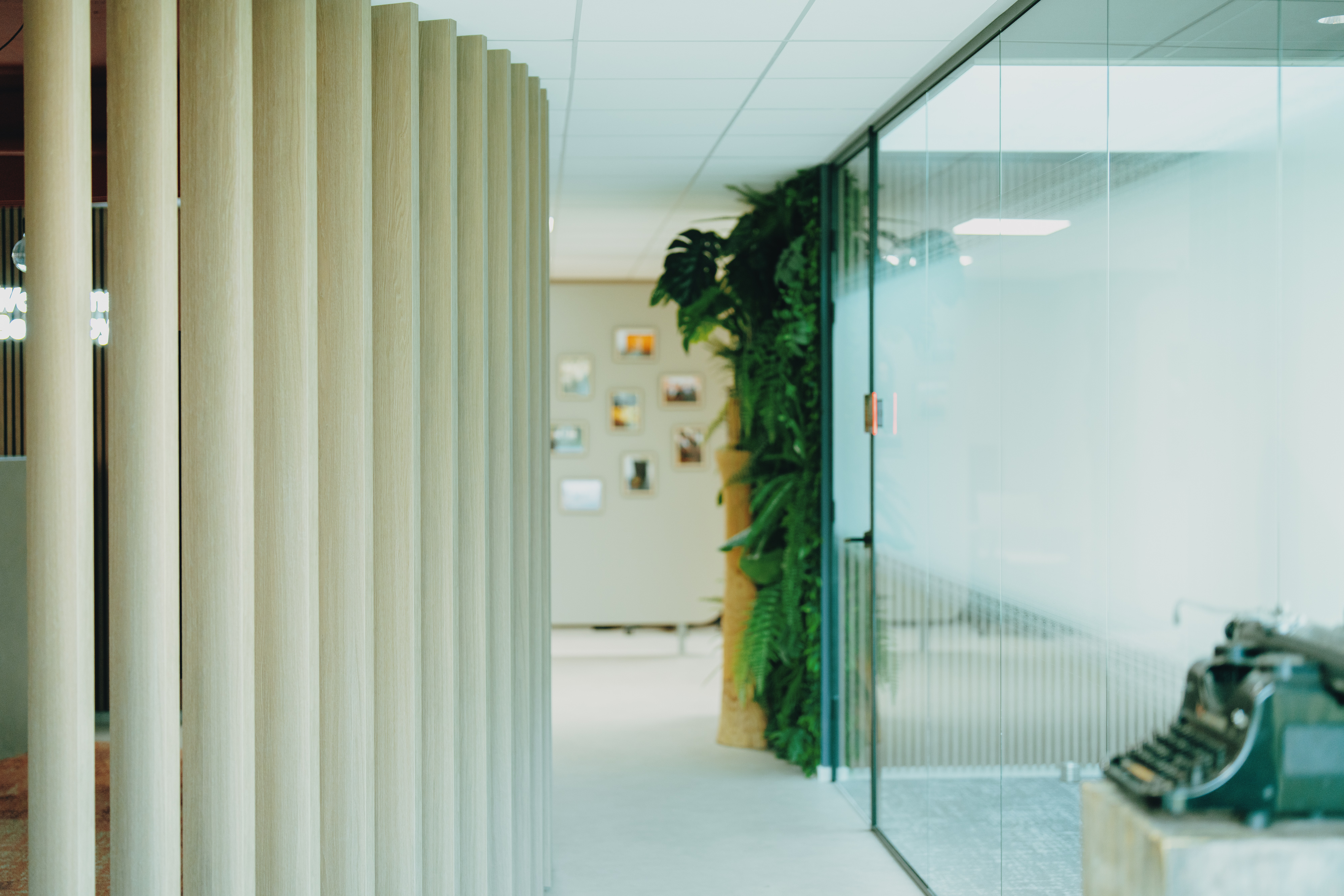 Professional Services