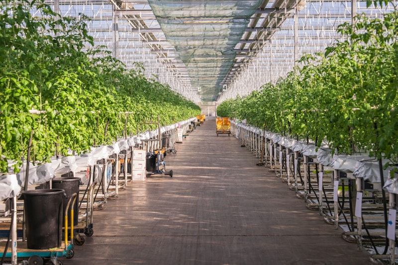 Urban farm