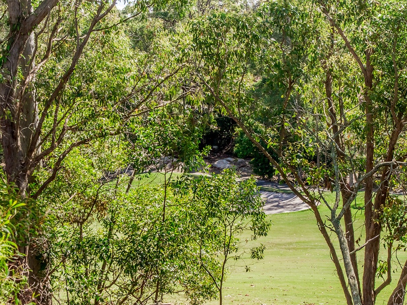 vegetation