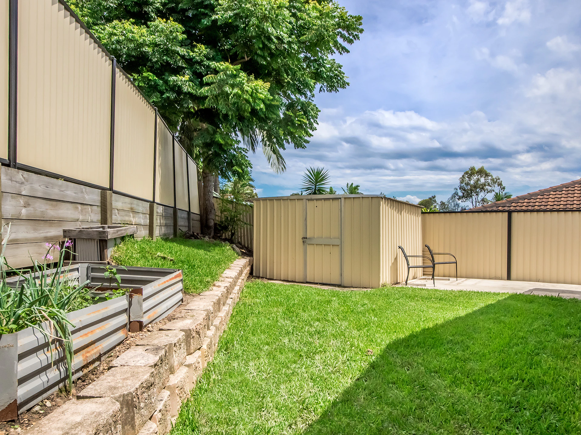 backyard