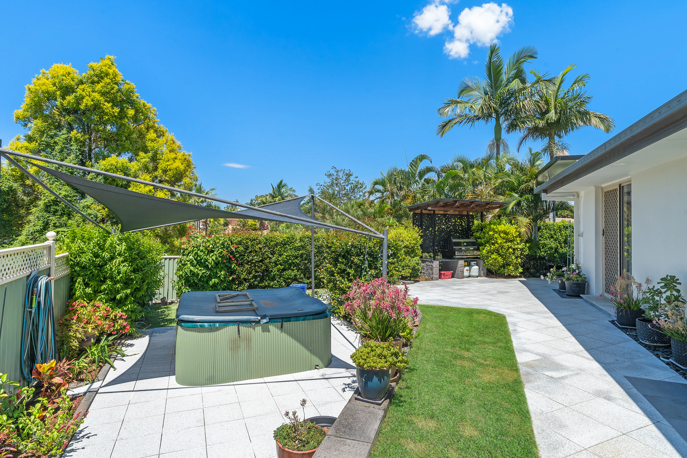 backyard