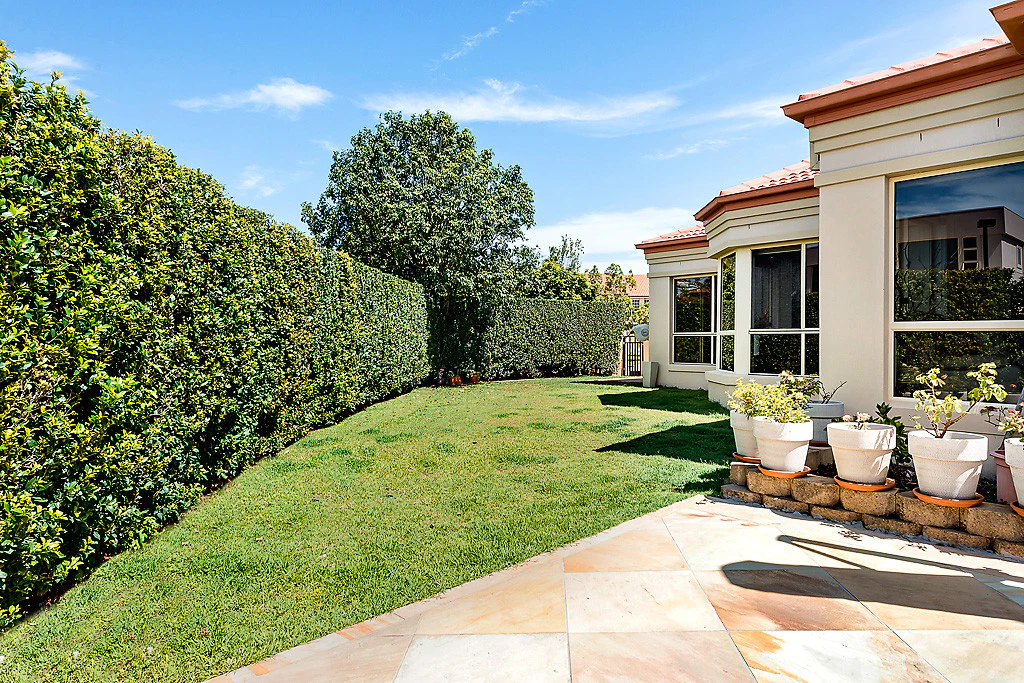 hedge