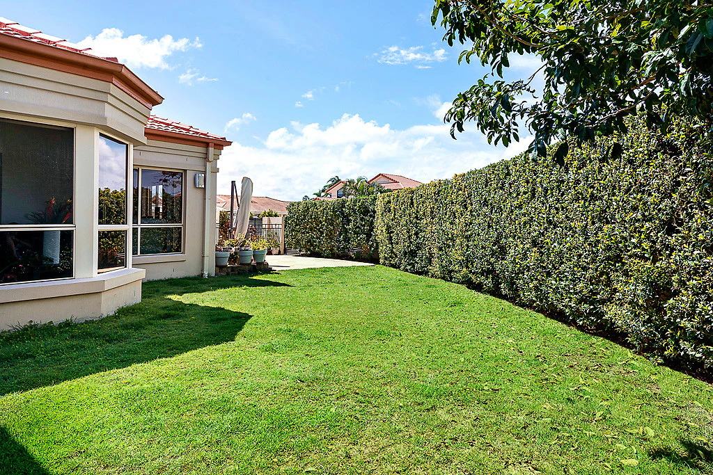 grass